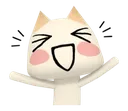 yay