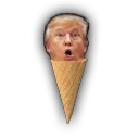 donaldcone