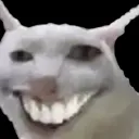 catsmile