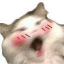 0d04612beb44b4c284ec86faab0cbb88