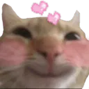 1b078473c90f6e382921dafc17024f03