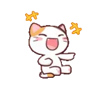 cat_laugh_lol cat_laugh_lol