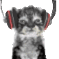 catnotL
