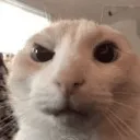 1ba561382310e3e519494e0c0281de9f