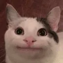 5b2b155056a0b2139a35d828dea2fe35