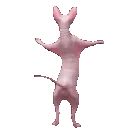 3a8806d085104111a80df804d46a9bfb