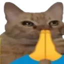 plsplsplspls