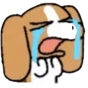 dogcry