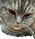 condescending condescending