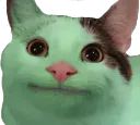 Nyatchi_Welp Nyatchi_Welp