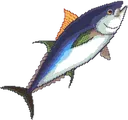 cc_cangu