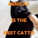 Best_catto