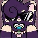 dascool