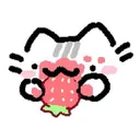 13824824348508160001