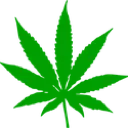 weed