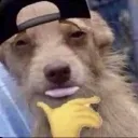 lightskindog lightskindog