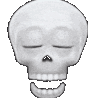 SkullBruh