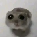 emoji_69