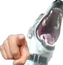 perrorisas