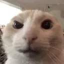 is_that_so