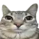1344499184690266124