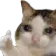 1344689869519061024