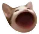 WAA
