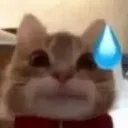 glupfrank