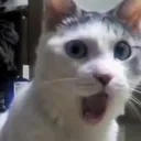 ChatShock