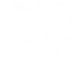 raid