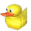 rubber_duck