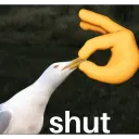shut