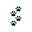 redpaws