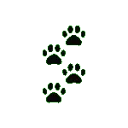purplepaws