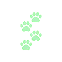 lightgreenpaws