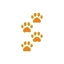 orangepaws