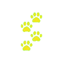 yellowpaws