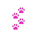 pinkpaws