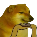 DogeHM_WF