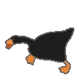 BlackGoose BlackGoose