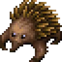 EchidnaIT