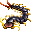 GiantCentipedeIT