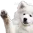 Edu_wave