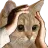 Edu_icantbelieve