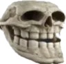 1629skull