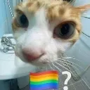 gay