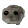 SadHamster