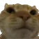 NoNoKitty