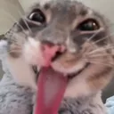 iwilllickyou