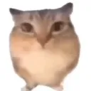 emoji_1
